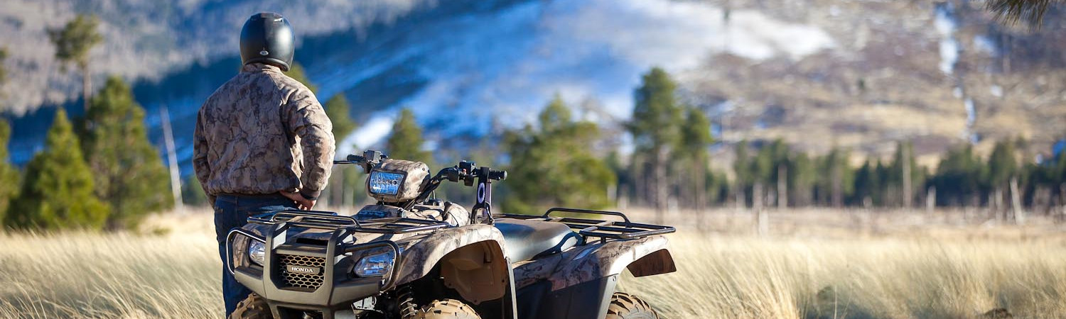 2020 Can-Am® Foreman for sale in RideNow Jacksonville, Jacksonville, Florida